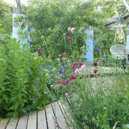 Unique Fairytale Farmhouse Near Galway Roscommon