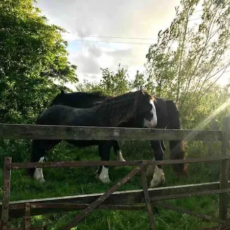 Unique Fairytale Farmhouse Near Galway *